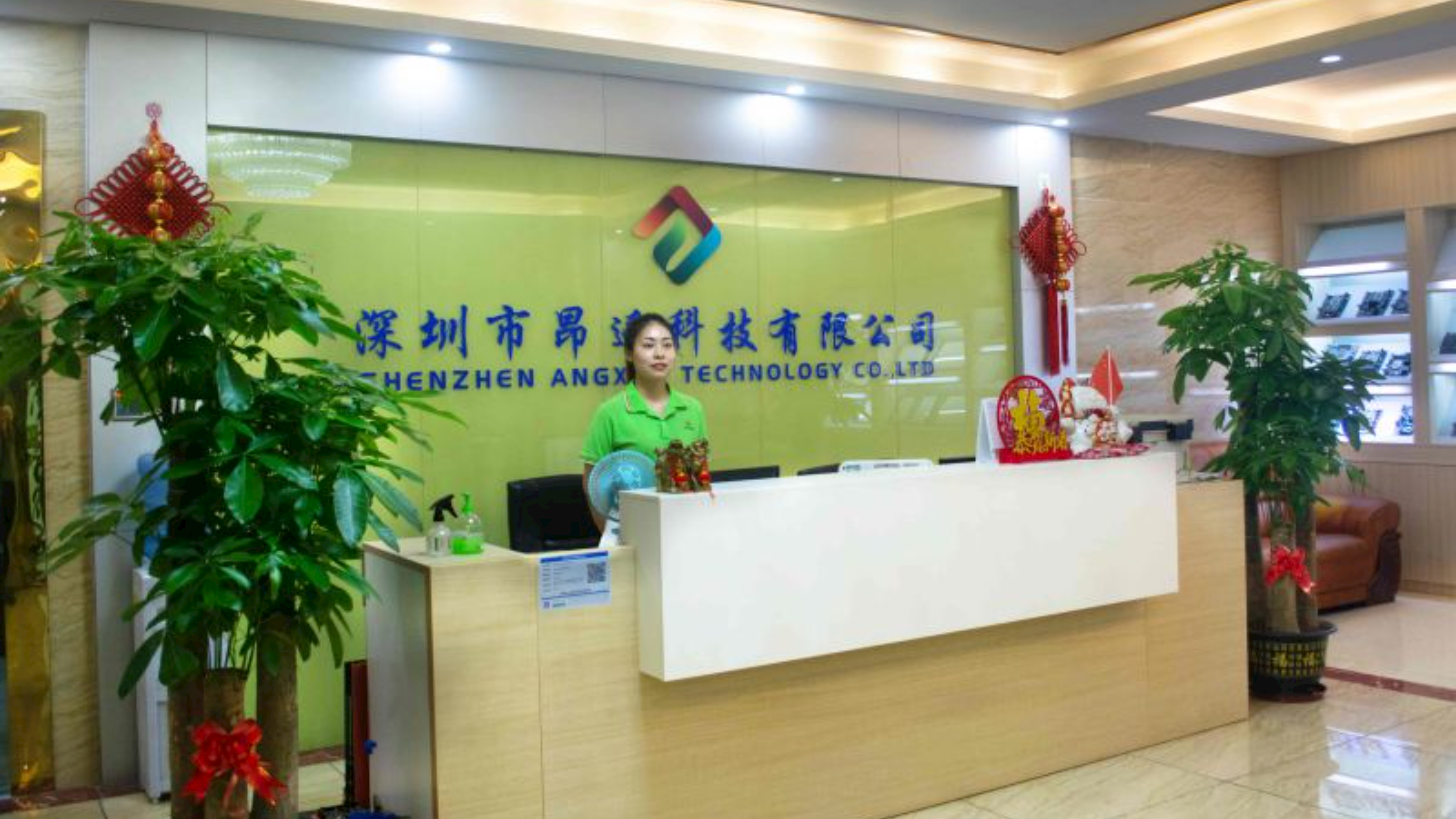 Angxun’s Corporate Environment