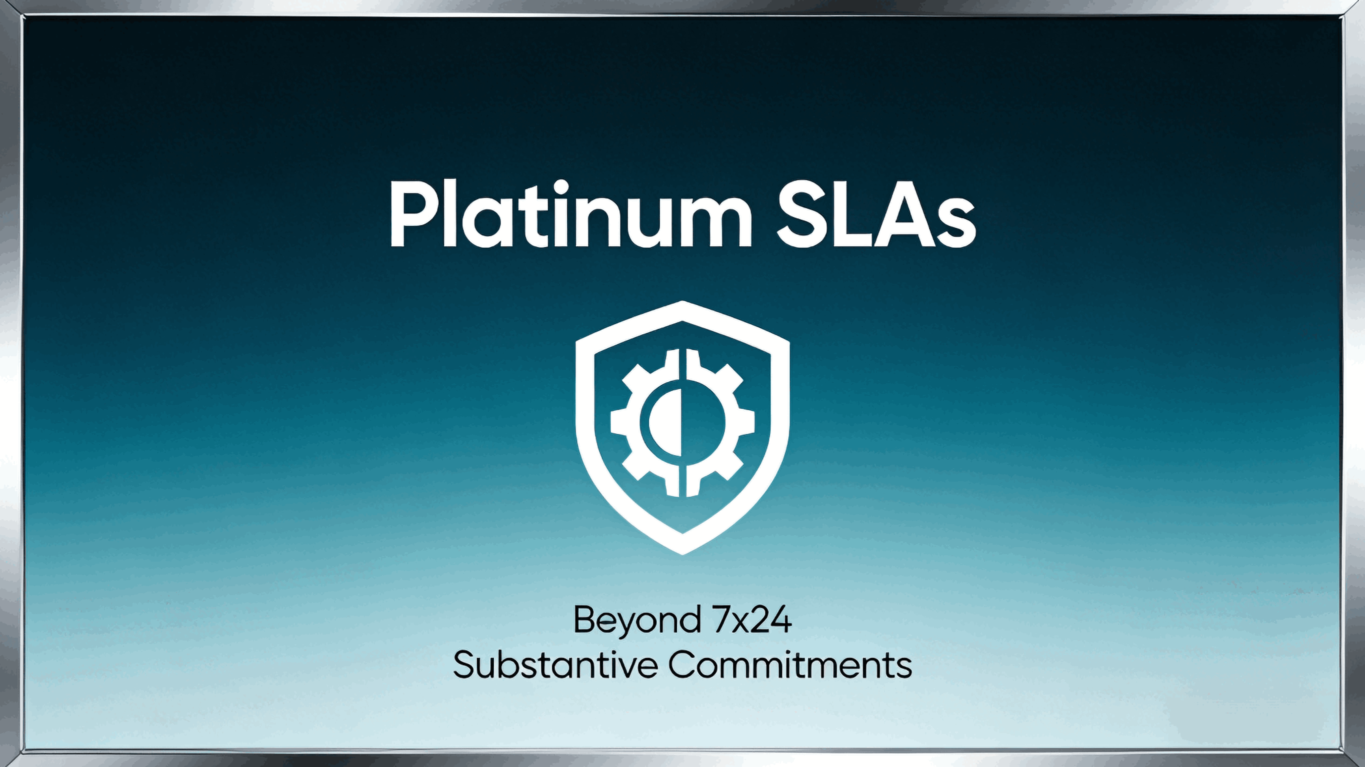 platinum-sla-top-10-commitments (1).png